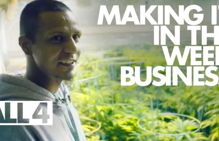 Business of Marijuana videos
