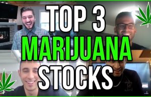 Marijuana stock videos