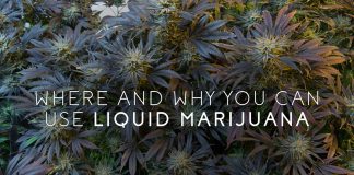 Liquid Marijuana