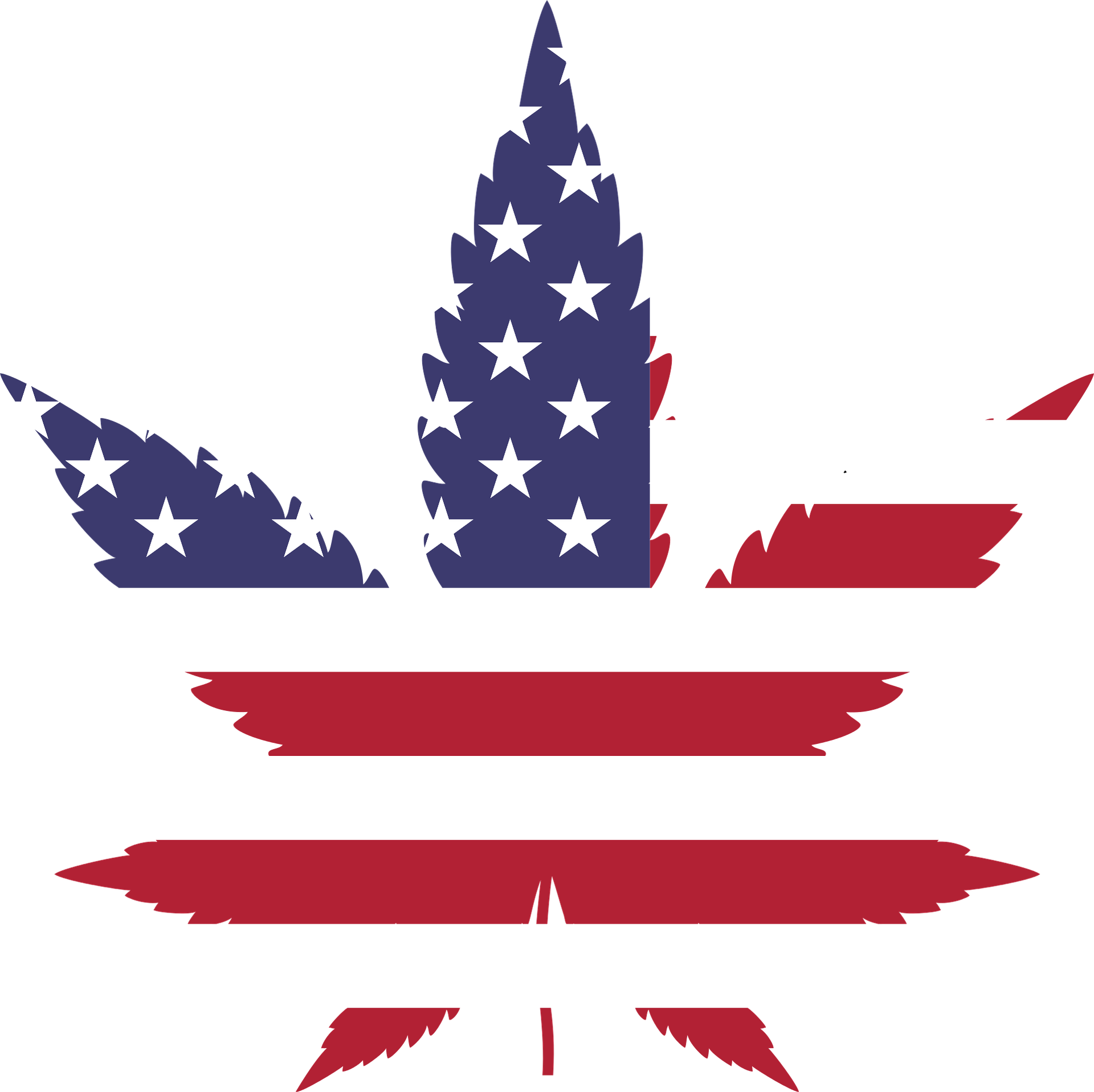Cannabis Jobs Report