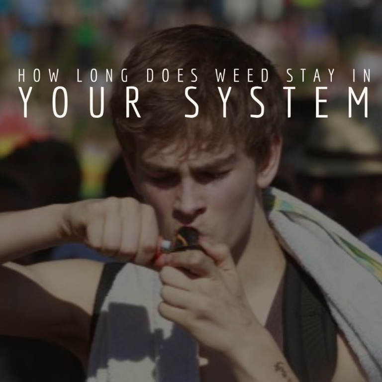 How Long Does Weed Stay In Your System