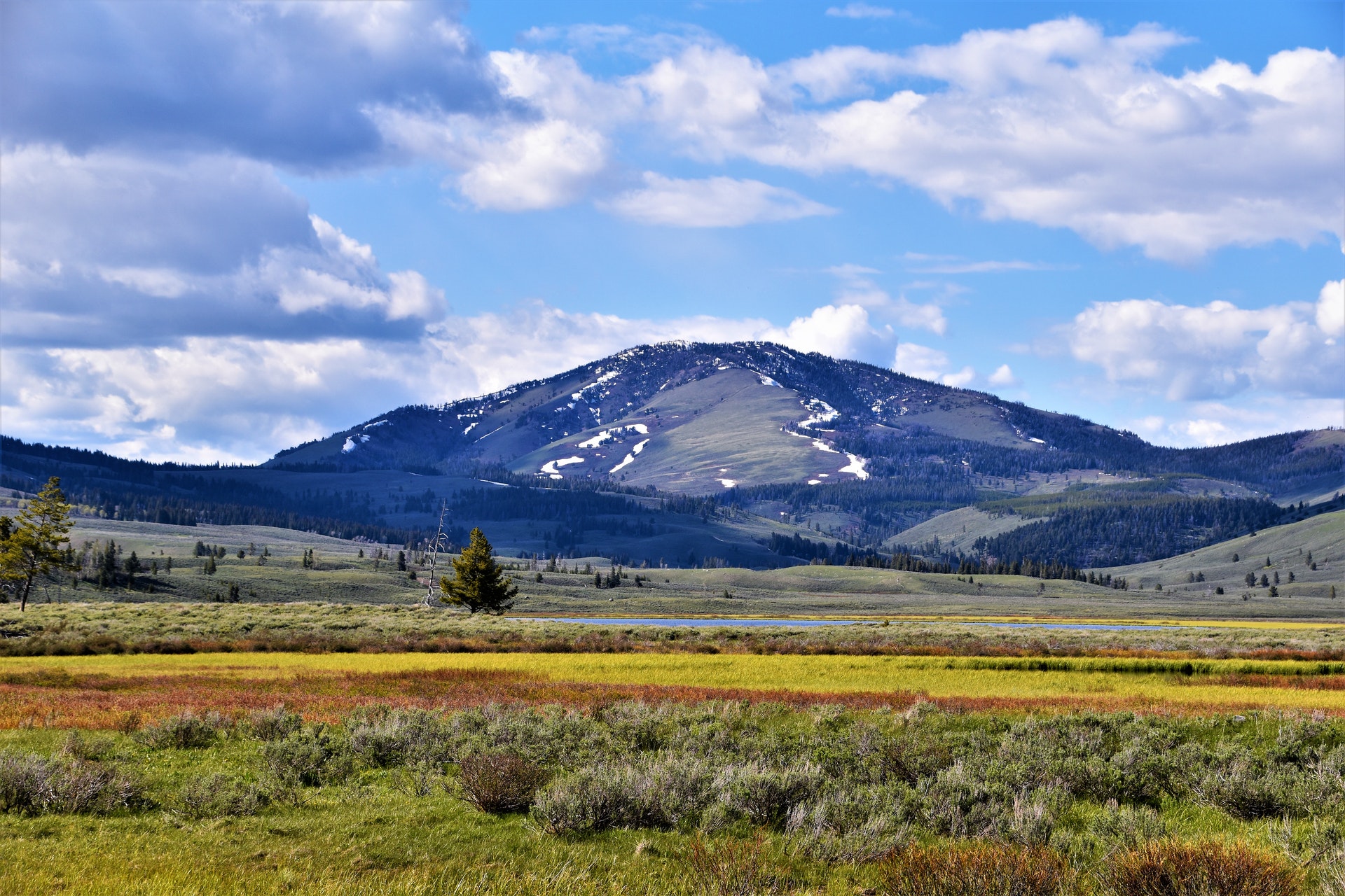 Montana. Photo Courtesy of Kerry via Pexels.